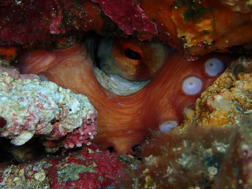 IMG 20250616 WA0087 1024x768