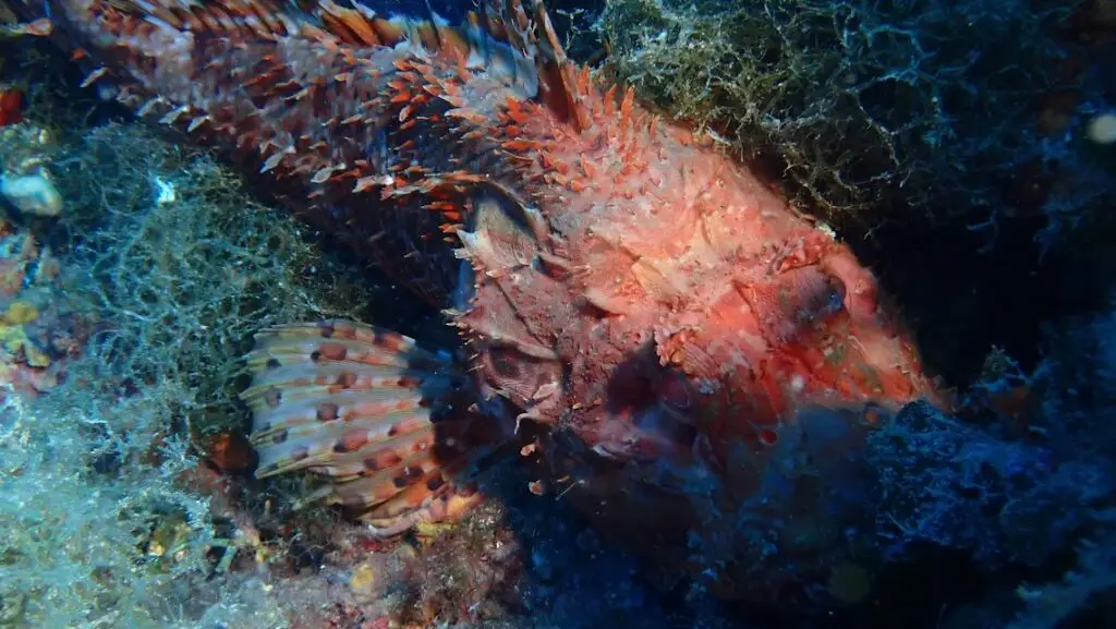 IMG 20250908 WA0065 1024x577